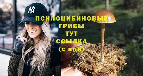 соль курить ск Алексеевка
