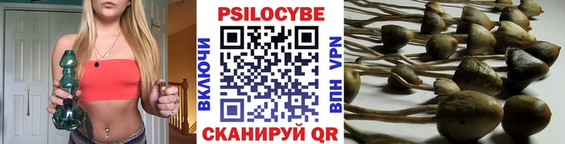 купить наркотик Качканар Псилоцибиновые грибы прущие грибы