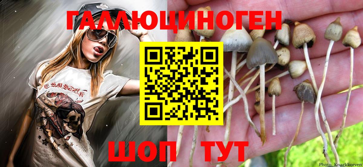 Галлюциногенные грибы Magic Shrooms  где можно купить наркотик  Качканар  Вход с VPN 