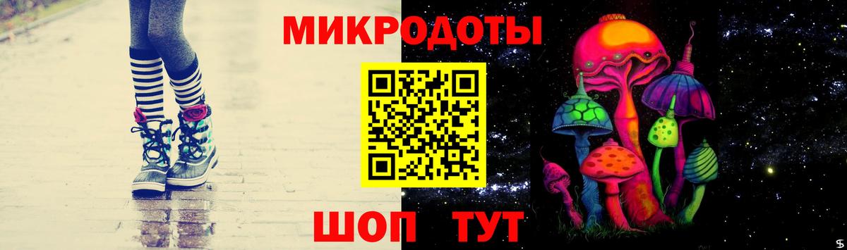 Галлюциногенные грибы Psilocybine cubensis Качканар