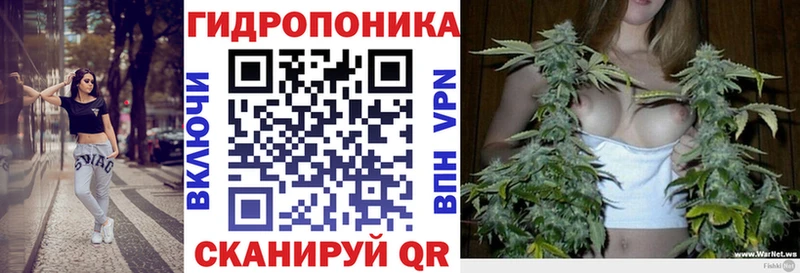 сайты даркнета клад  Качканар  Марихуана конопля  где купить наркоту 